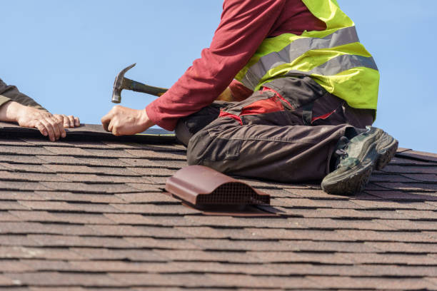 Best Gutter Installation and Roofing  in The Homesteads, TX
