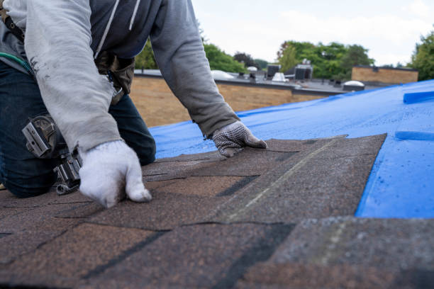 Best Metal Roofing Contractor  in The Homesteads, TX