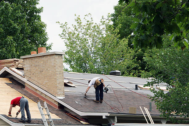 Best Roof Restoration Services  in The Homesteads, TX