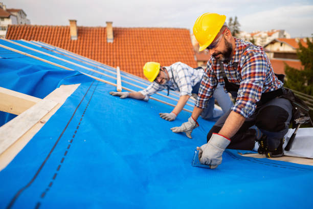 Quick and Trustworthy Emergency Roof Repair Services in The Homesteads, TX