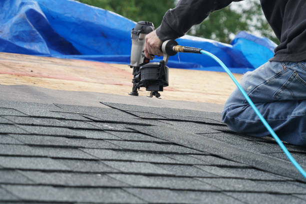 Best Local Roofing Companies  in The Homesteads, TX